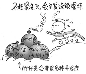附件炎,引起,怎么